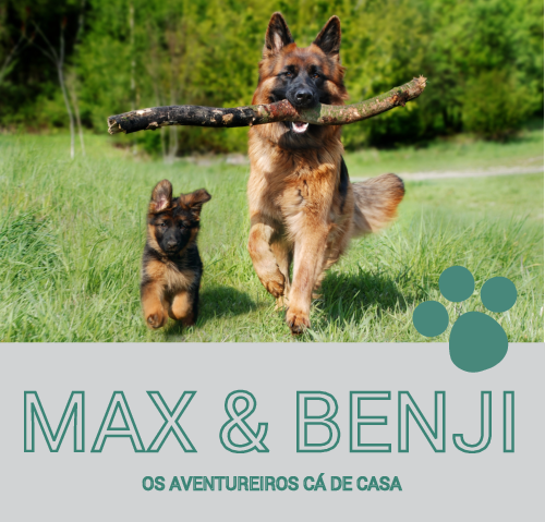 Animais 230 x 220 mm