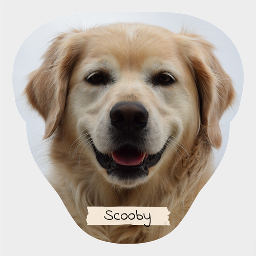 Golden Retriever Frente