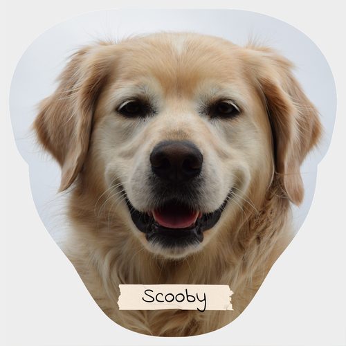 Golden Retriever Verso