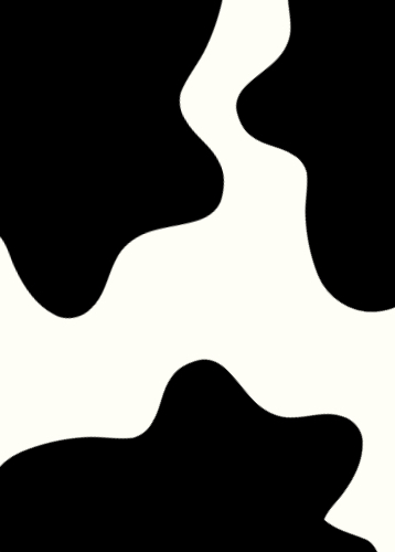 Caderno de Notas Malhado Contracapa