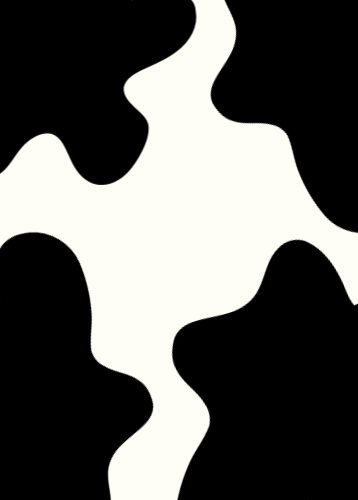 Caderno de Notas Malhado Contracapa