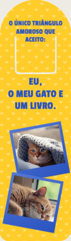 O meu gato