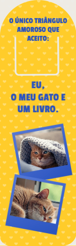 O meu gato