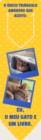 O meu gato