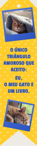 O meu gato