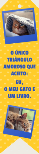 O meu gato