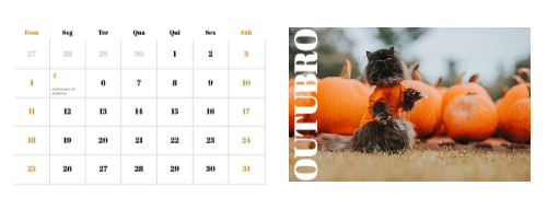 Fotografias de Gatos