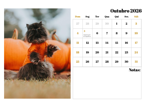 Fotografias de Gatos