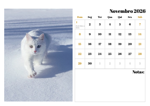 Fotografias de Gatos