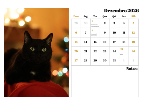 Fotografias de Gatos