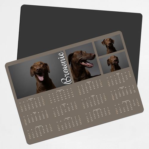 Animal de Estimação