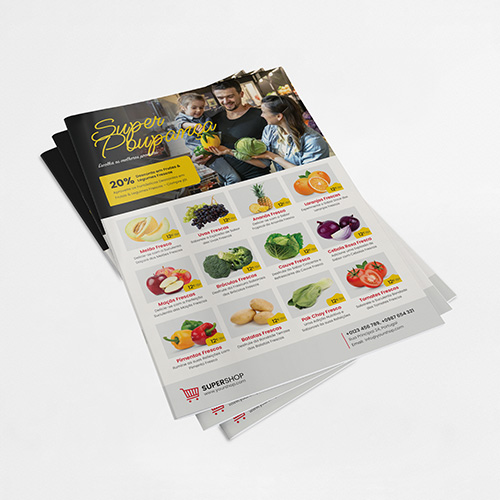 Promotional Leaflet Web Offset