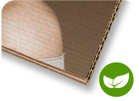 Cartão micro-ondulado E+B